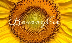 BovaryCee signature on a sunflower 