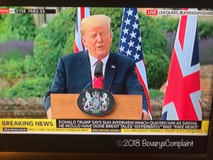 SkyNews screen with Donald Trump during press conference with Theresa May and caption saying Trump saying his interviews were “fake news.” 